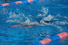 Enlarge photo 39