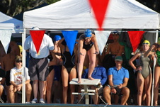 Enlarge photo 43