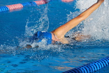 Enlarge photo 48