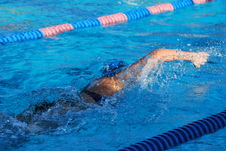 Enlarge photo 49