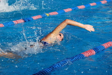 Enlarge photo 51