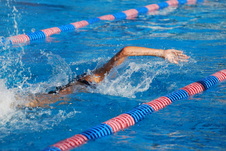 Enlarge photo 52