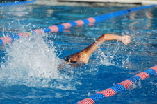 Enlarge photo 53