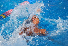 Enlarge photo 56