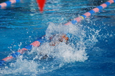 Enlarge photo 58