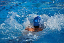 Enlarge photo 62