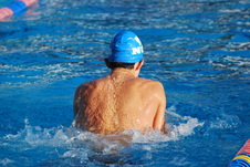 Enlarge photo 61