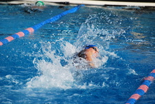 Enlarge photo 70