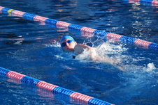 Enlarge photo 78