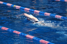 Enlarge photo 79