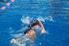 Enlarge photo 81