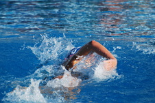 Enlarge photo 83