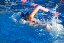 Enlarge photo 88