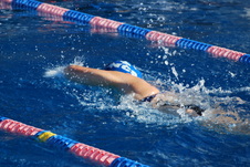 Enlarge photo 91