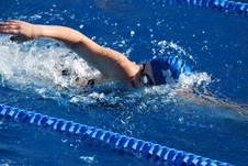 Enlarge photo 92
