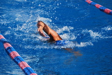 Enlarge photo 95