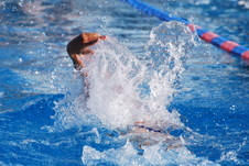 Enlarge photo 96