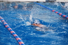 Enlarge photo 99