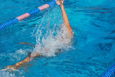 Enlarge photo 115