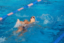 Enlarge photo 117
