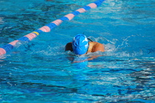 Enlarge photo 121