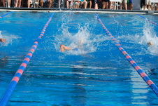 Enlarge photo 141