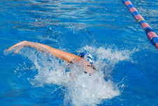 Enlarge photo 144