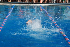 Enlarge photo 145