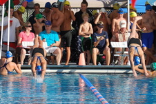 Enlarge photo 147