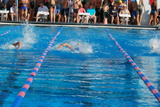 Enlarge photo 148