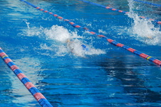 Enlarge photo 149