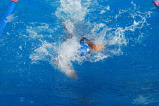Enlarge photo 151