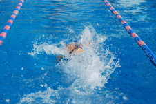 Enlarge photo 152