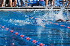 Enlarge photo 153