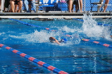 Enlarge photo 154