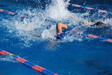 Enlarge photo 155