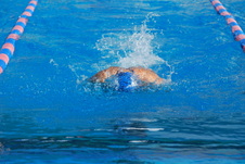 Enlarge photo 161