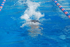 Enlarge photo 174