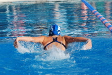 Enlarge photo 173