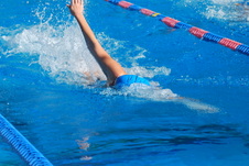 Enlarge photo 182