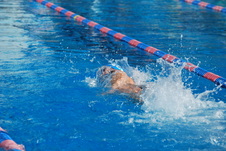 Enlarge photo 183
