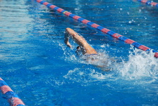 Enlarge photo 184