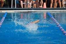 Enlarge photo 193