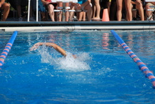 Enlarge photo 194