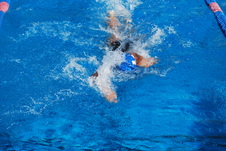 Enlarge photo 197