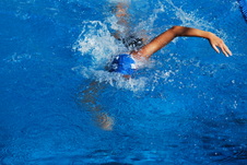 Enlarge photo 198