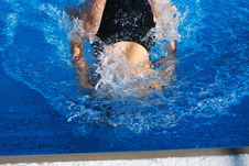 Enlarge photo 199