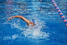Enlarge photo 203