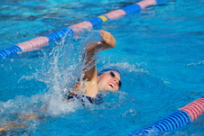 Enlarge photo 224