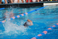 Enlarge photo 225